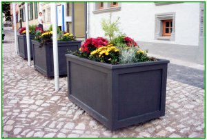 Blumenkbel vor dem Eingang zum historischen Rathaus